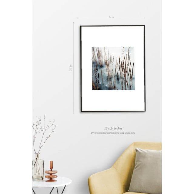 Paul Cooklin, Hoppit Lake, Debenham, Suffolk, Edition of 50 For Sale - Image 4 of 7