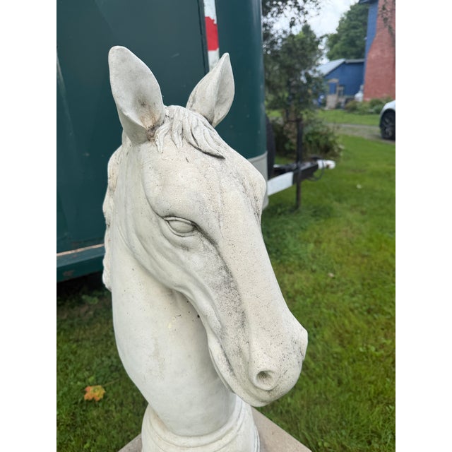 Vintage Hollywood Regency Concrete Horse Head Bust Sculpture Monumental Pedestal For Sale - Image 10 of 14