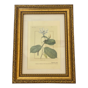 Small Vintage Floral Chromolithograph in Gold Frame Reproduction