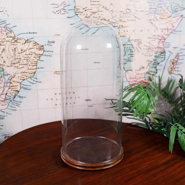 This is an antique display dome, offering superb proportions and a refined suede leather-lined base, dating to the late...