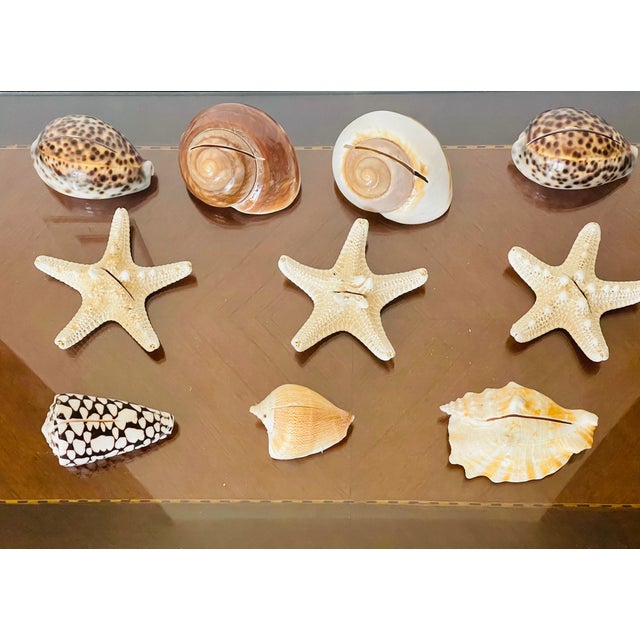 9 PCS Vintage Coastal Sea Shell Place Cards Holders for Weddings, Parties For Sale In Miami - Image 6 of 6