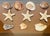 9 PCS Vintage Coastal Sea Shell Place Cards Holders for Weddings, Parties For Sale In Miami - Image 6 of 6