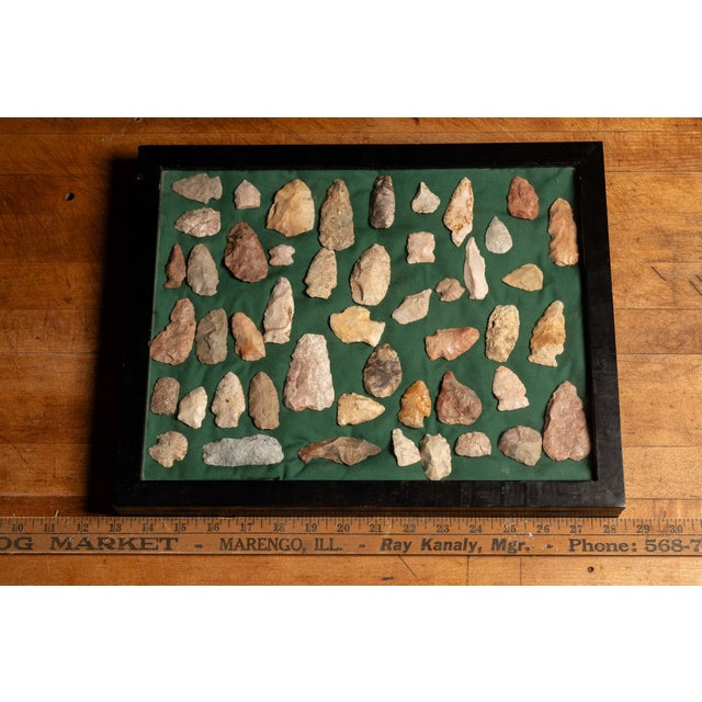 Early 20th Century Framed Native American Stone Arrowhead Collection For Sale In Chicago - Image 6 of 6
