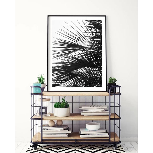 Paper Contemporary Minimalist Palm Tree Art Print, Large Tropical Coastal Wall Art, Black and White 24 X 36" Photography Print, 'Palm Fronds' For Sale - Image 7 of 9