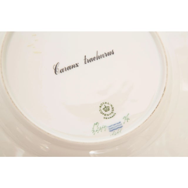Flora Danica Fish Plates, Vintage and Vibrantly Painted, Royal Copenhagen - Set of 12 For Sale - Image 9 of 13
