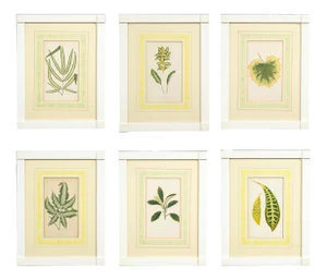 Mid 19th Century Edward Joseph Lowe Botanical Prints 1861- Set of 6