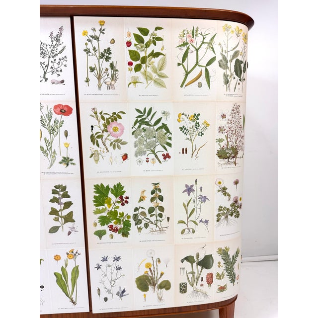 Wood 1940's Swedish Cabinet With Nordens Flora Illustrations For Sale - Image 7 of 12