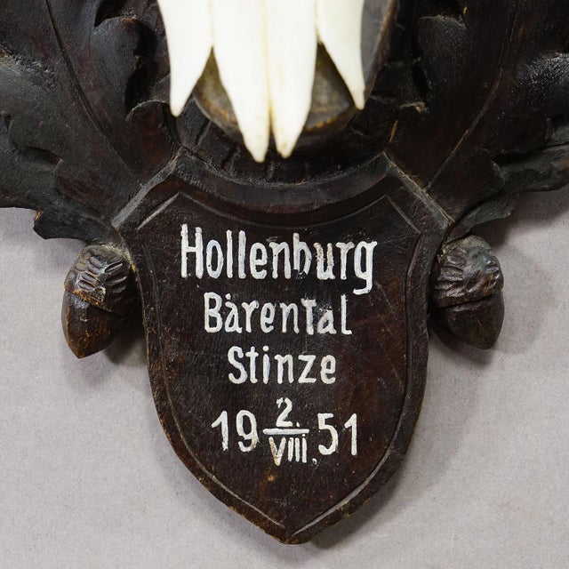 1950s Black Forest Chamois Trophy on Carved Wooden Plaque, Austria 1951 For Sale - Image 5 of 5