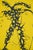Aki Kuroda (1944) Cosmofleur Original color lithograph poster On poster paper, 43 x 63 cm (approx. 17 x 25 inches) Printed...
