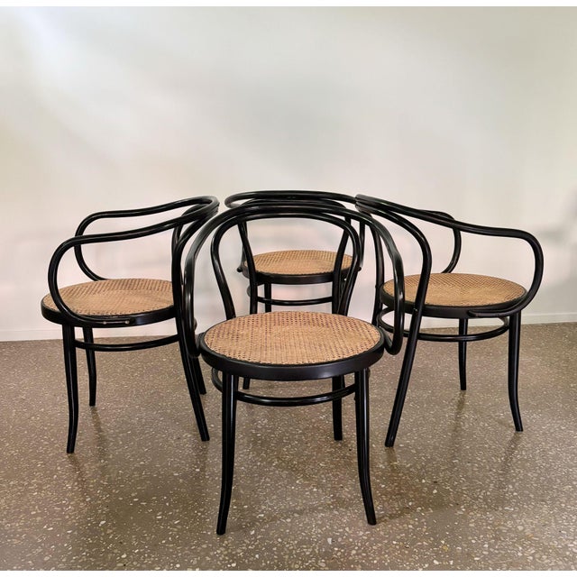 Model B9/209 Armchairs, 1970s, Set of 4 For Sale - Image 3 of 14