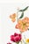 Vintage Wildflowers Study, Botanical Art Print Reproduction, 20" X 30" For Sale In Buffalo - Image 6 of 9