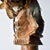 Early 20th Century Mambila Guardian Figure Tadep Cameroon For Sale - Image 12 of 13