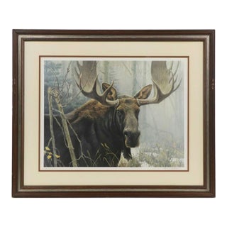 1970s Robert Bateman "Bull Moose" Framed Lithograph Signed/Numbered For Sale
