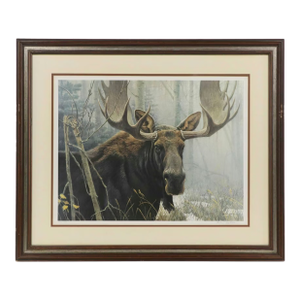 Robert Bateman "Bull Moose" Framed Lithograph Signed/Numbered 1970s