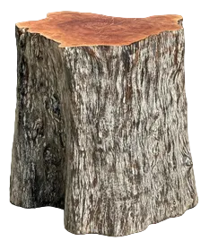 Set of Lychee Stools Forming a Coffee Table