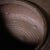 1990s Vintage Textured Brown Earthenware Bowl For Sale - Image 5 of 7