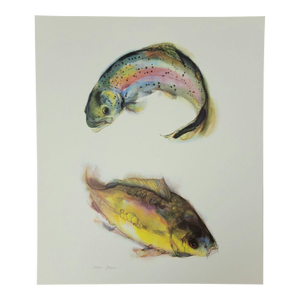 Original Watercolor of Rainbow Trout and Mirror Carp by Warren T. Payne
