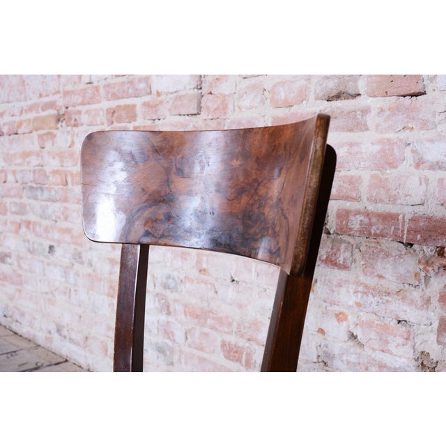 Brown Art Deco Chairs in Beech and Walnut attributed to Thonet, Czech, 1940s, Set of 4 For Sale - Image 8 of 14
