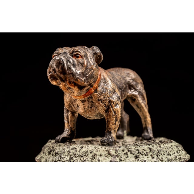 Metal Early 20th-Century Cast Metal Bulldog Tree Stump Desk Humidor For Sale - Image 7 of 9