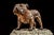 Metal Early 20th-Century Cast Metal Bulldog Tree Stump Desk Humidor For Sale - Image 7 of 9