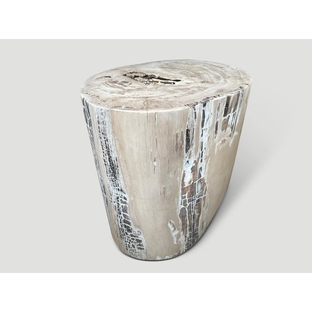 Off-white Andrianna Shamaris Exquisite High Quality Petrified Wood Side Table or Pedestal For Sale - Image 8 of 18