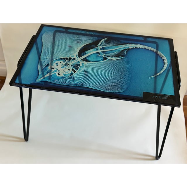 Early 21st Century Xraydio 1 Razza Side Table in Glass and Black Raw Steel by Moroso for Diesel, 2010s For Sale - Image 5 of 8