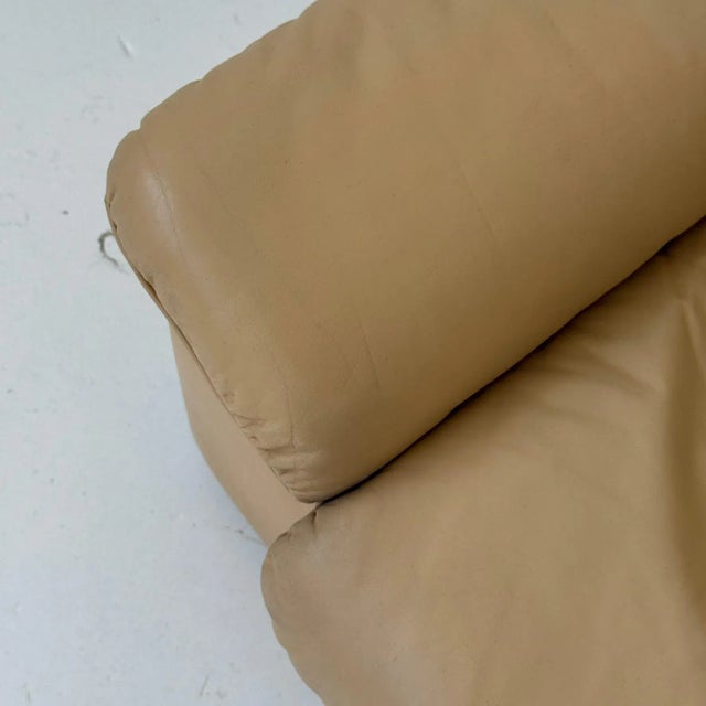 Ds-66 Leather Sofa by De Sede For Sale - Image 10 of 12