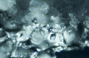 Marko Milić, Obsession, Abstract Photography