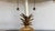 Pair Frederick Cooper Classic Modern Hollywood Regency Pineapple Polished Brass Table Lamps With Black Tole Shades For Sale - Image 11 of 18