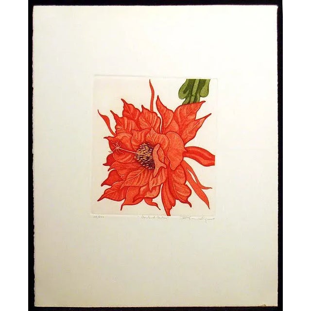 Printmaking Materials 1981 Portfolio of Cactus Flower Etchings After Arnold Iger - Set of 5 For Sale - Image 7 of 13