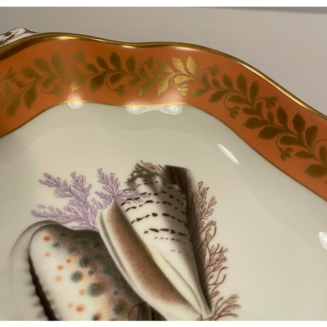 Mottahedeh Mottahedeh for Historic Natchez Shell Dish For Sale - Image 4 of 6