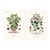 1870 G. Dupuis Lithographs From the Vegetable Kingdom Unframed — Understated Antique Natural History Illustrations Set of 2 For Sale