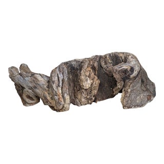 Petrified Driftwood Sculptural Tabletop Decor For Sale
