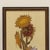 1970s Long 1970s Framed Wall Art | Embroidered Sunflowers For Sale - Image 5 of 5