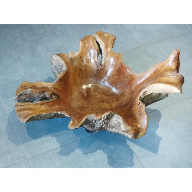 Spectacular olive wood bowl. This giant bowl measures 72 × 42 cm. The olive tree symbolizes longevity, hope, peace,...