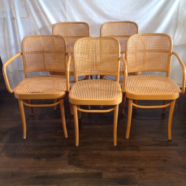 Prague Bentwood Cane Chairs Set of 5 Chairish