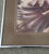David Waselle “Fan Dancers” Signed Artist Proof Underwater Photograph For Sale In Naples, FL - Image 6 of 10