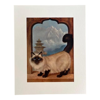 Vintage 1965 Girard Goodenow Cat Print in 16x20 Mat, Ready to Frame: Himalayan For Sale