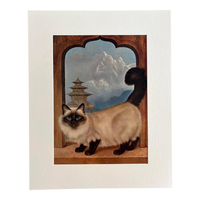 Vintage 1965 Girard Goodenow Cat Print in 16x20 Mat, Ready to Frame: Himalayan For Sale