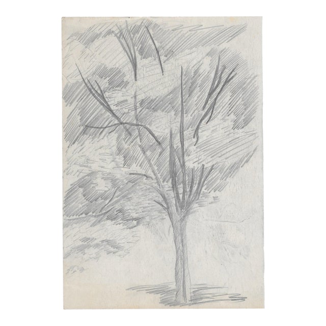 1940s Frank Wallace Tree Landscape Drawing For Sale