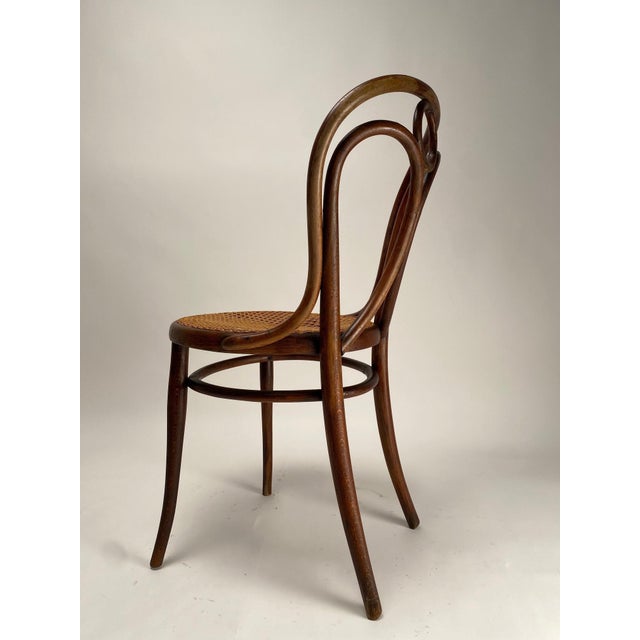 Wood Austrian Bent Beech Chairs, 1890s, Set of 4 For Sale - Image 7 of 8