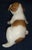 Mid-Century Modern Vintage MCM Royal Copenhagen Pointer Puppy Dog Figurine For Sale - Image 3 of 5