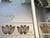 Vintage 1980s Etched Floral Triptych Mirror Wall Art in Gold Brass For Sale In Portland, ME - Image 6 of 6