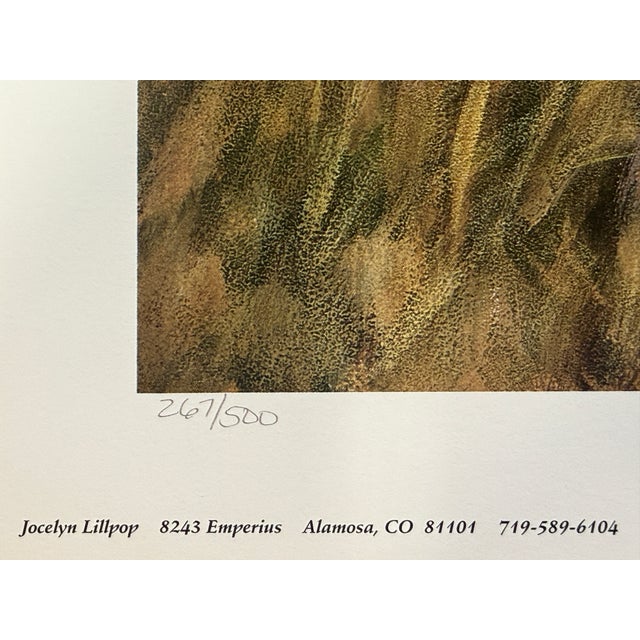 Paper 1990s Jocelyn Lillpop Russell Boundary Line Bison Buffalo Yellowstone National Park Signed Numbered American Print For Sale - Image 7 of 11