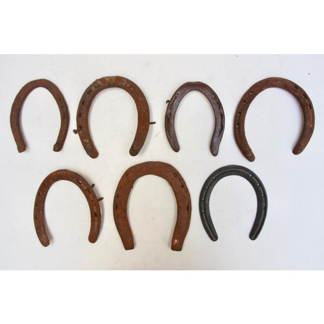 Iron Horseshoe Collection Set of 7 Chairish