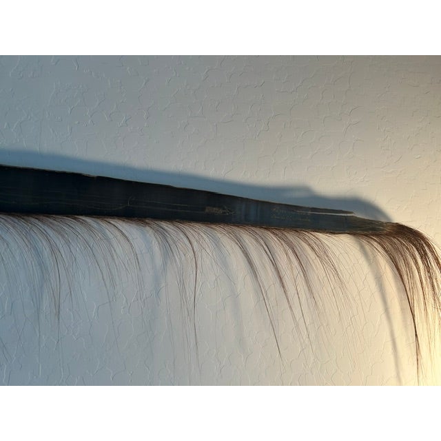 7 Foot 5" Wall Hanging - Scrimshaw Whale Baleen Frond - Mid Century For Sale - Image 4 of 16