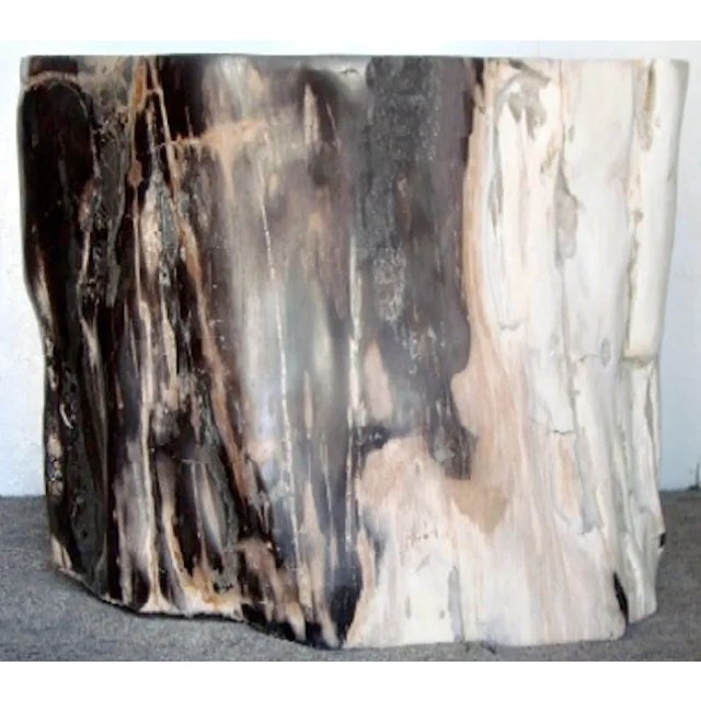 Organic Petrified Wood Stump #815 (Rosewood) - Supellex For Sale - Image 4 of 4