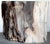 Organic Petrified Wood Stump #815 (Rosewood) - Supellex For Sale - Image 4 of 4