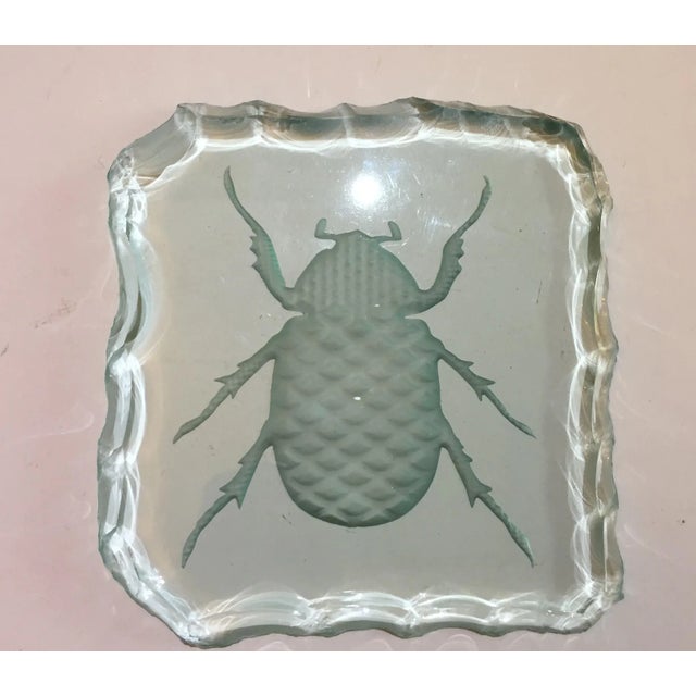 Glass Engraved Scarab Beetle Coaster For Sale - Image 12 of 12