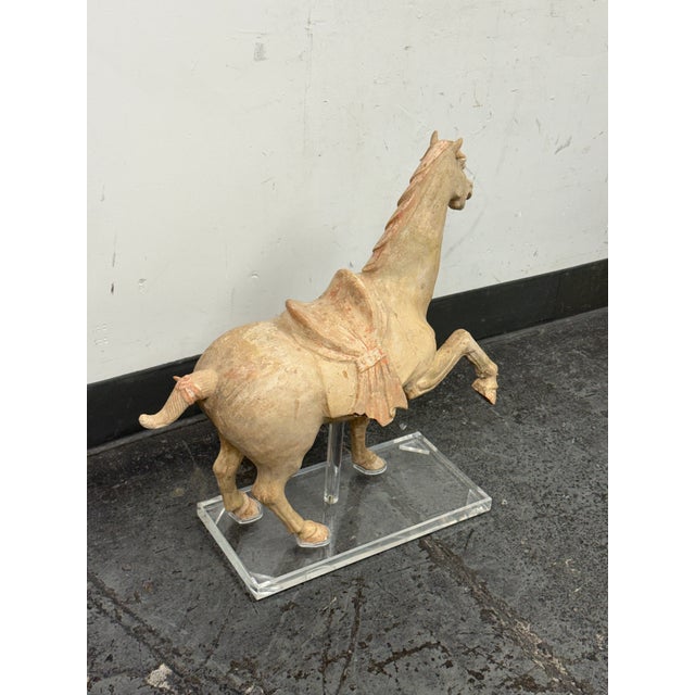 Antique Pottery Tang Dynasty Style Horse + Lucite Stand For Sale - Image 4 of 12